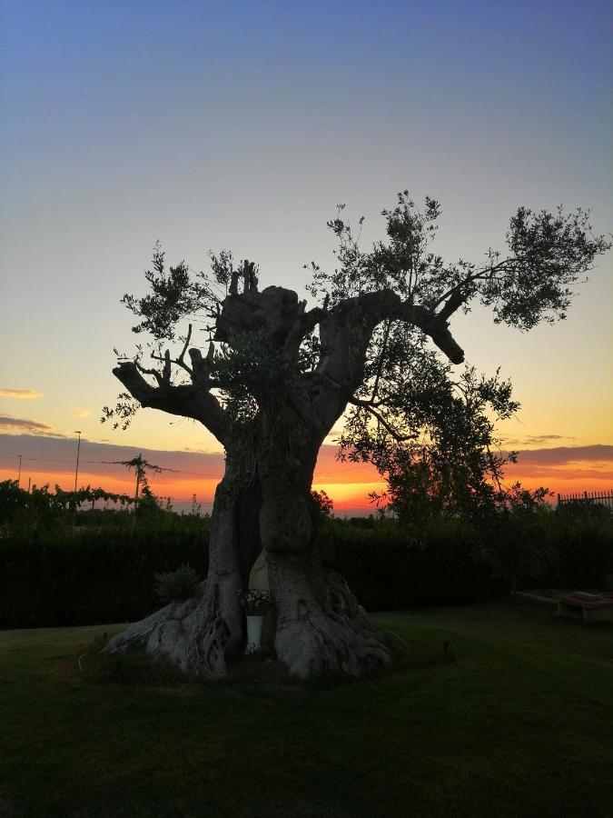 B&B Mareen Santa Maria al Bagno Luaran gambar