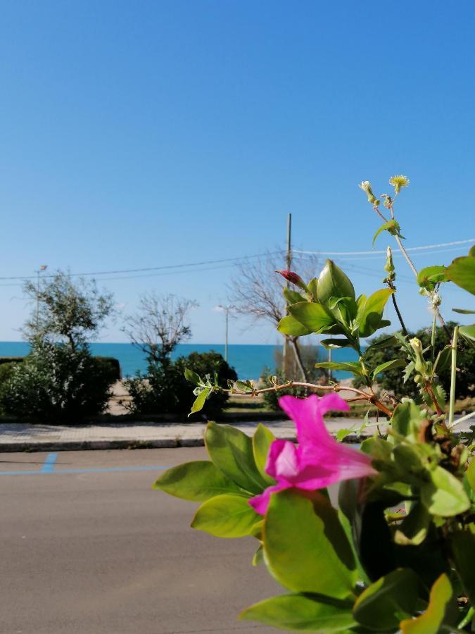 B&B Mareen Santa Maria al Bagno Luaran gambar